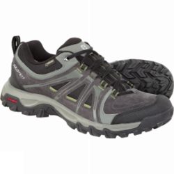 Salomon Men's Evasion GTX Shoe Asphalt/Black/Genepi-X